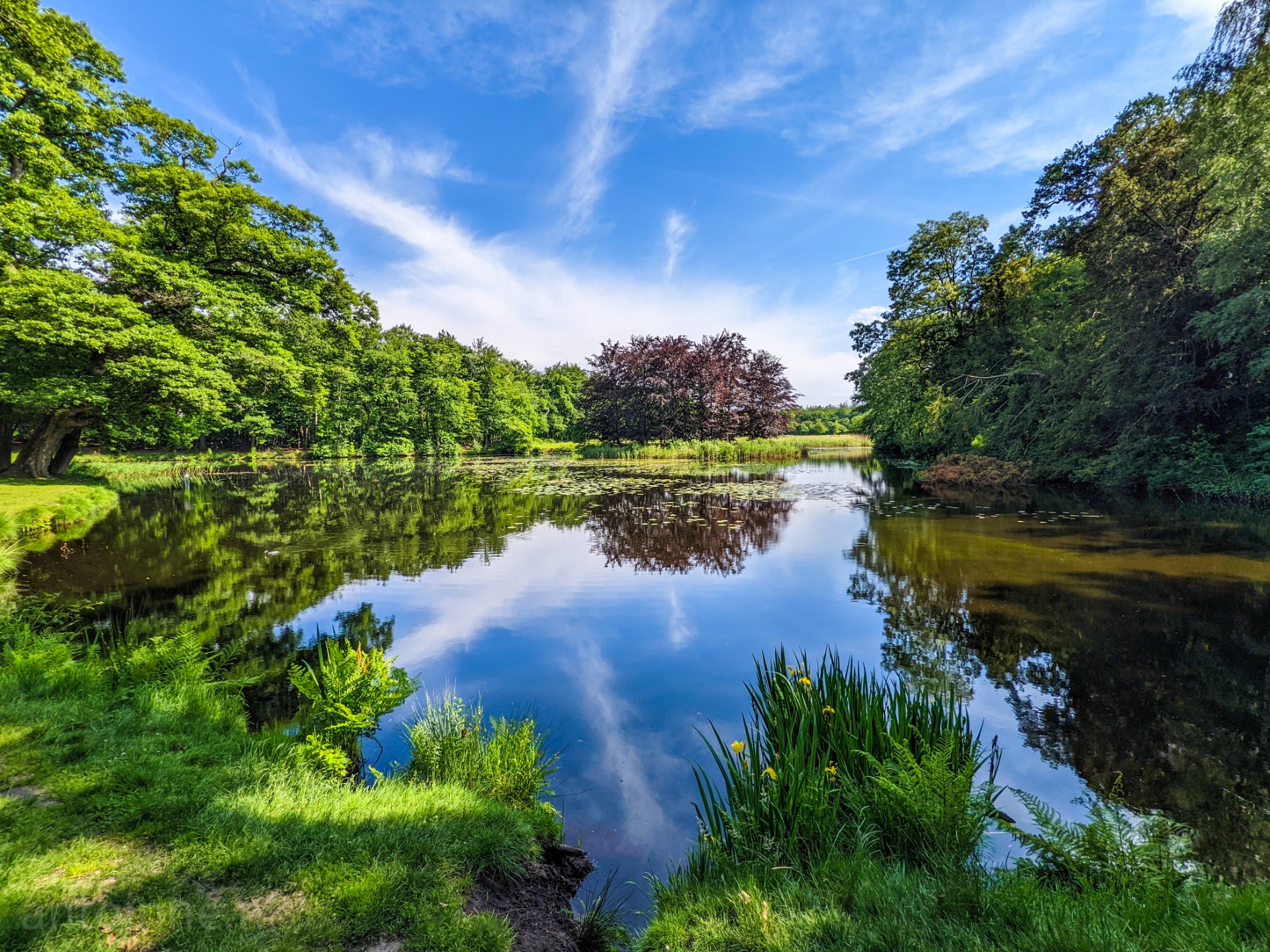Groeneveld (Baarn)